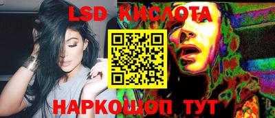 стафф Гай