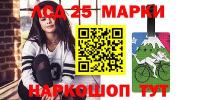 стафф Гай