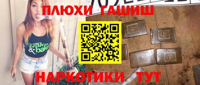 стафф Гай