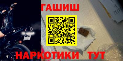 стафф Гай