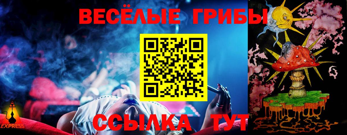 Псилоцибиновые грибы MAGIC MUSHROOMS  Вход с VPN  Малгобек 